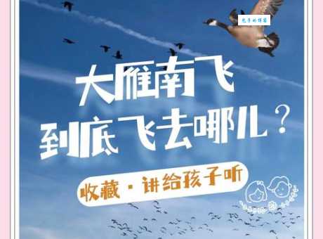 大雁南飞的背后：气候变化与生存本能的驱使