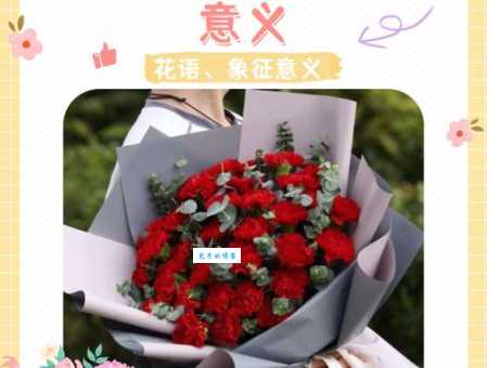 送康乃馨代表什么？康乃馨的花语含义及寓意