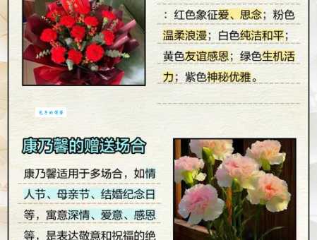 送康乃馨代表什么？康乃馨的花语含义及寓意