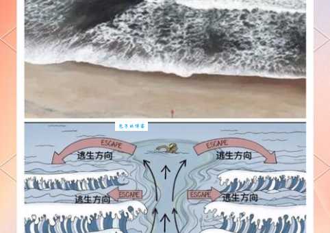 了解离岸流：怎样避免被这股强劲水流卷走？