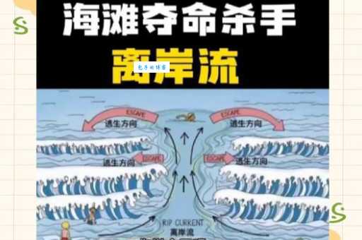 了解离岸流：怎样避免被这股强劲水流卷走？