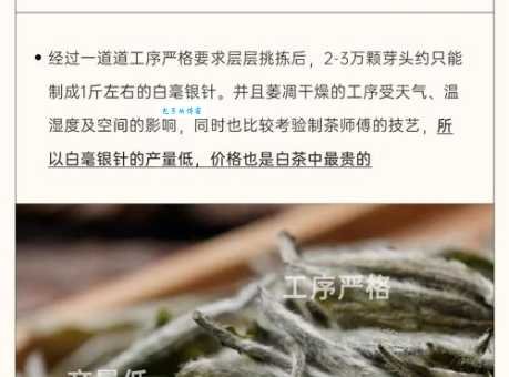 白毫银针是什么茶？白茶中的极品详解