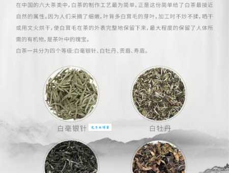 白毫银针是什么茶？白茶中的极品详解
