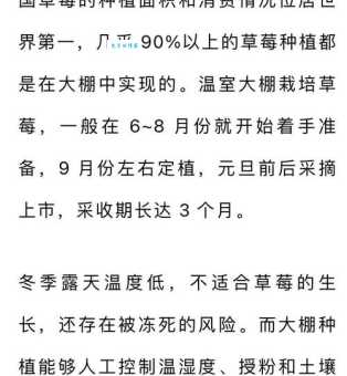 种植草莓的最佳时间是什么时候？避开这些误区