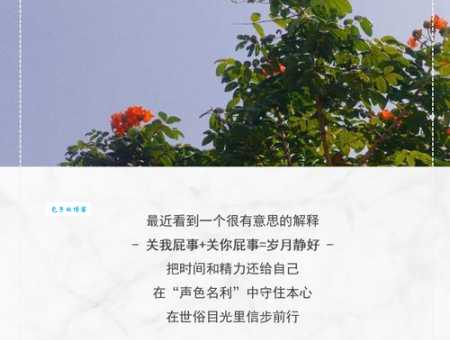 岁月静好是什么意思？详解岁月静好的含义和出处