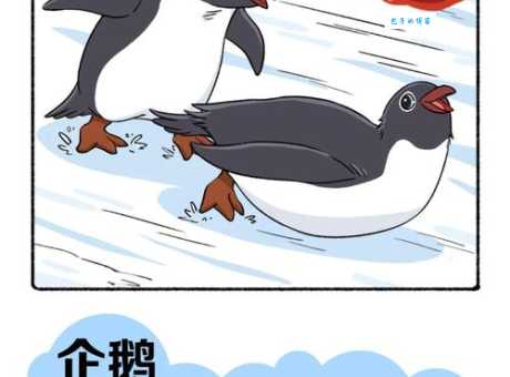 企鹅的翅膀是用来干什么的？帮你揭秘企鹅游泳技能