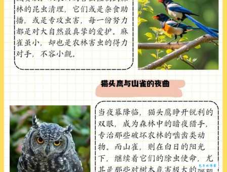 你知道哪些益虫益鸟吗？它们对环境的贡献！