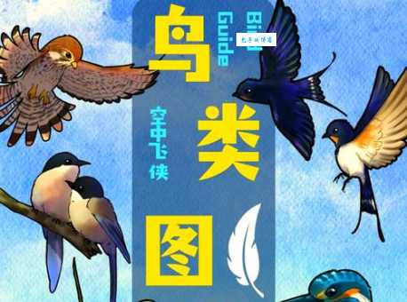 你知道哪些益虫益鸟吗？它们对环境的贡献！