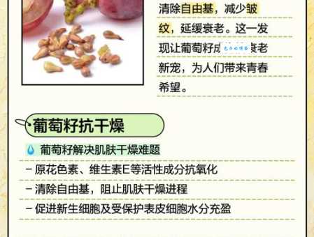 吃葡萄吐葡萄籽？葡萄籽的妙用你了解吗？