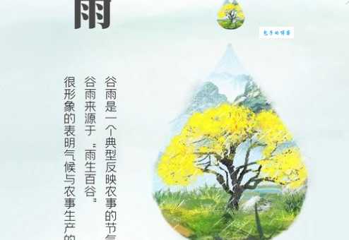 谷雨寓意是什么？探寻谷雨节气的象征意义和现代价值