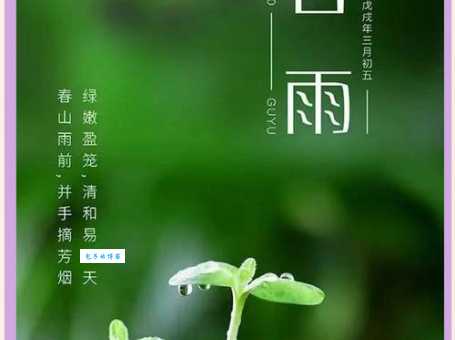谷雨寓意是什么？探寻谷雨节气的象征意义和现代价值