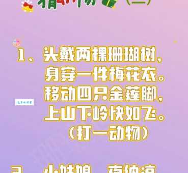 猫狗像什么打一成语？趣味成语谜题，考验你的智慧！