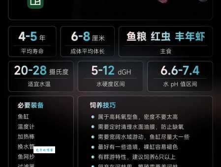 详解鳀鱼在中国地区的不同叫法及分布区域