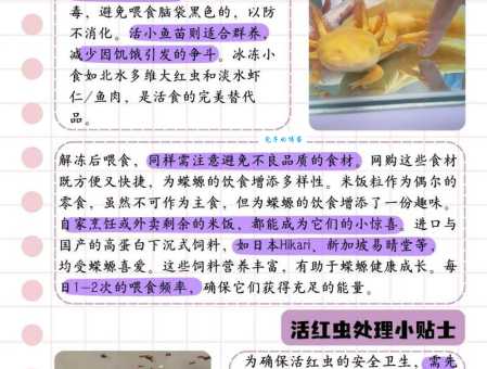 揭秘蝾螈的食谱：从活食到人工饲料的选择
