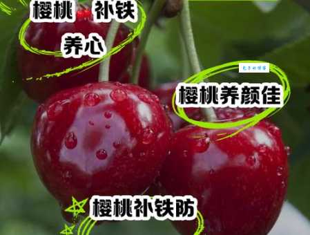 樱桃的功效与作用是什么？吃樱桃对身体有哪些好处