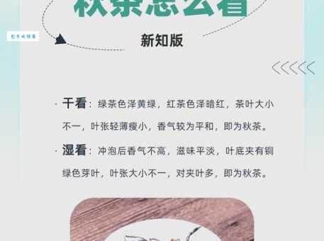 秋茶的真正含义：为何秋茶更值得品味？