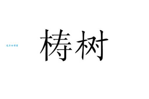 梭梭树拼音suō suō shù，读音及相关知识介绍