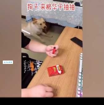 抖音来根华子是什么梗？中华香烟意外走红