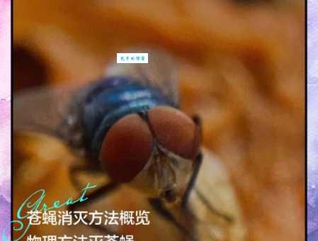 苍蝇的寿命是几天？实验室条件下苍蝇能活多久？