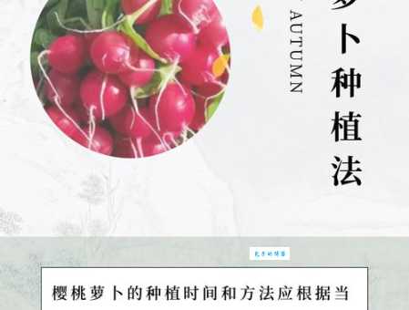 种植必看：生苗和熟苗的差异与选择