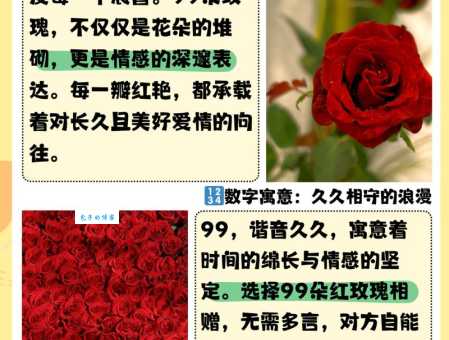 粉玫瑰的花语和象征意义：表达爱意和美好祝愿