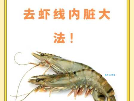 揭秘基围虾名字的起源：与独特的养殖方法有关