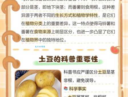 土豆是根还是茎？涨知识！带你了解土豆的真实身份