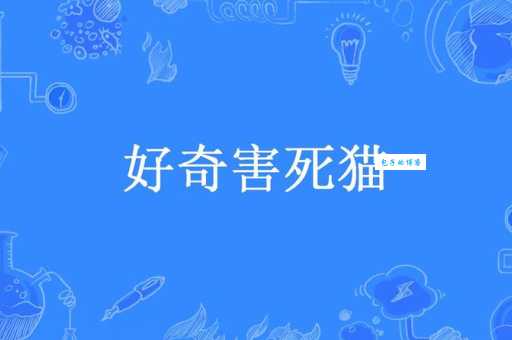 “好奇害死猫”的真正含义是什么？揭秘这句谚语的深层含义