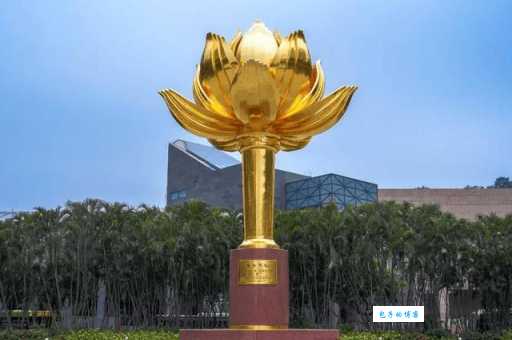 澳门的市花是什么花？你知道澳门的市花代表什么意义吗？