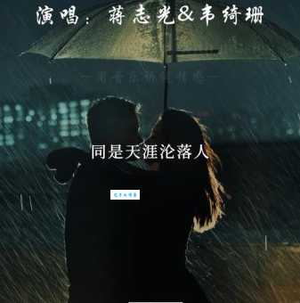 相逢何必曾相识是什么意思？简单易懂的解释和例句