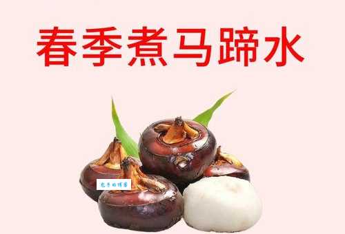 你知道马蹄是马的什么吗？马蹄的组成和功能