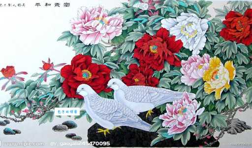 牡丹与荷花一起的象征意义：富贵和平还是其他寓意？