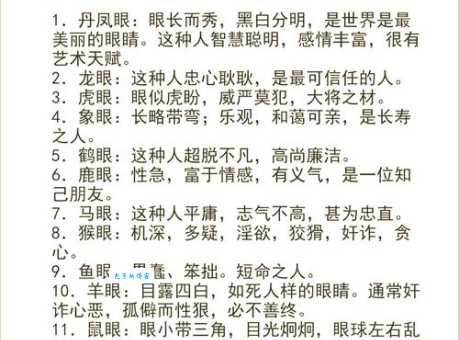 一板一眼里“眼”到底指什么？音乐术语“板眼”的详细解释