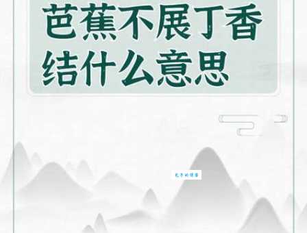 古诗词赏析：“芭蕉不展丁香结”的深刻含义是什么？