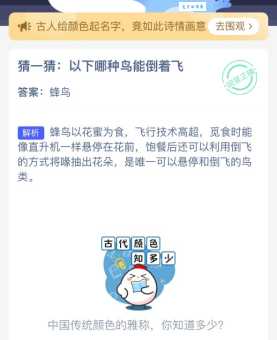 你知道哪种鸟可以倒着飞吗？不可思议的飞行技巧