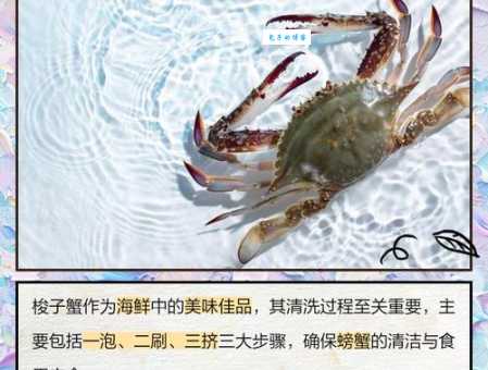 如何清洗梭子蟹才不腥？简单易懂的梭子蟹清洗方法