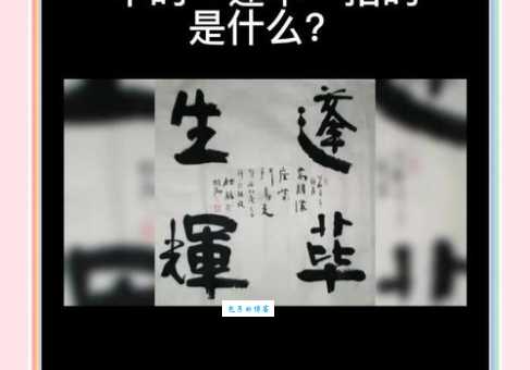 蓬荜生辉的蓬荜指的是什么？带你了解成语典故。