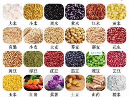 古代的“菽”指什么农作物？答案揭晓：菽就是指大豆！
