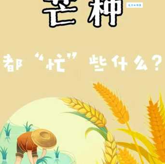 芒种到了，农民忙什么？麦收、种稻，一年中最忙时节！