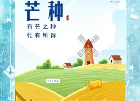 芒种到了，农民忙什么？麦收、种稻，一年中最忙时节！