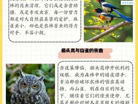 常见益虫益鸟有哪些？它们对生态环境有什么重要作用？
