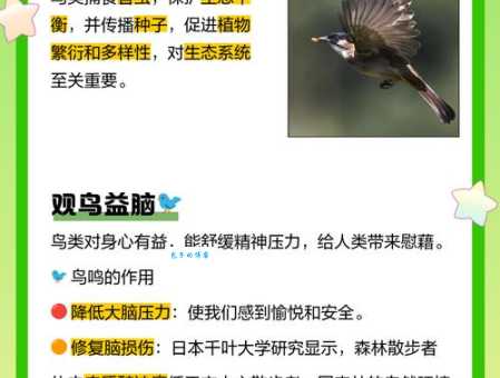 常见益虫益鸟有哪些？它们对生态环境有什么重要作用？
