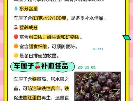 樱桃的功效与作用大全：吃樱桃有哪些好处？