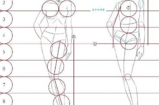 九头身美女比例是多少？如何判断九头身