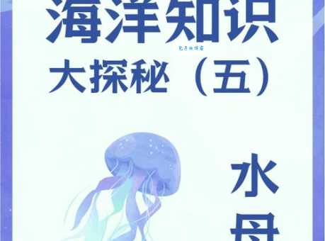 神奇水母：它是如何感知外部世界的？