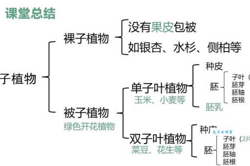 被子植物是什么意思？小白也能轻松理解的被子植物介绍