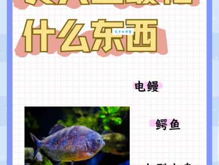 凶猛食人鱼也有天敌？它们的天敌是哪些动物？