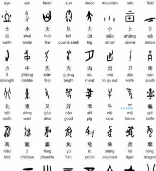 甲骨文是什么文字？它属于哪一类文字？详解甲骨文类型