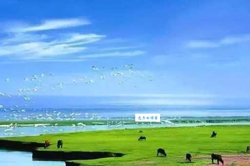 中国最大的淡水湖是哪个？鄱阳湖水位变化与生态关注