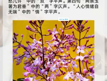 细品古诗词：霜树尽空枝肠断丁香结的意境和含义是什么？